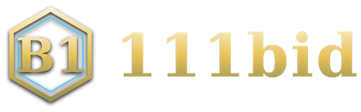 111bid logo